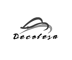 10-empresas-logo-paindesco-pavimentos-y-revestimientos